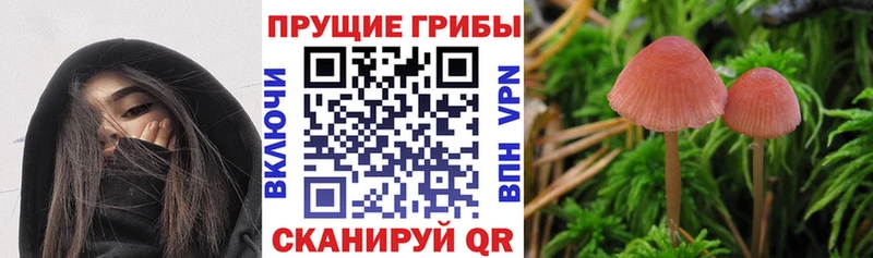 МЕГА ТОР  даркнет сайт  Озёры  Псилоцибиновые грибы мухоморы 